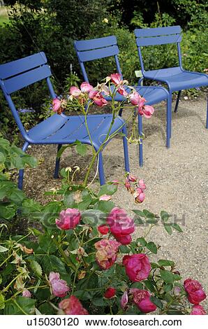 three blue garden chairs View Large Photo Image Stock Image - three blue garden chairs. Fotosearch