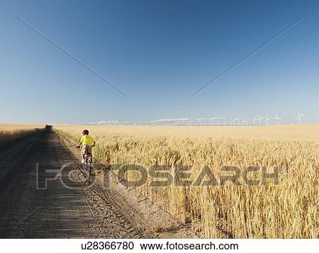 Boy (8-9) cycling along dirt road View Large Photo Image Stock Image - Boy (8-9) cycling along dirt road. Fotosearch
