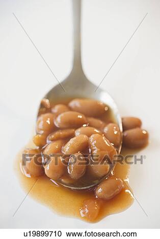 Close up of baked beans on spoon View Large Photo Image Stock Image - Close up of baked beans on spoon. Fotosearch