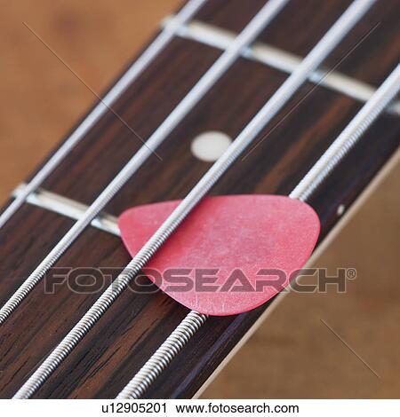 Close-up of bass guitar with guitar pick View Large Photo Image Stock Image - Close-up of bass guitar with guitar pick. Fotosearch