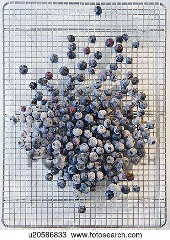 Close up of frozen blueberries on grate View Large Photo Image Stock Image - Close up of frozen blueberries on grate. Fotosearch