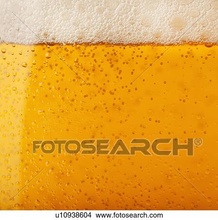 Picture - Close-up of lager in glass. Fotosearch