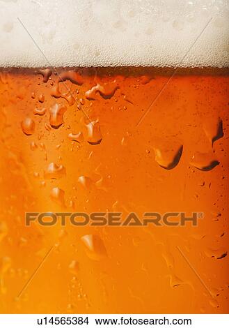 Picture - Close-up of lager in glass. Fotosearch