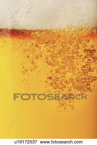 Stock Photo - Close-up of lager in glass. Fotosearch