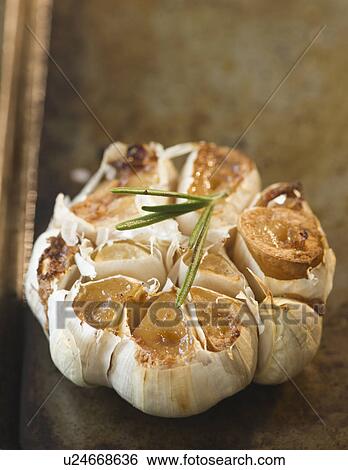 Close up of roasted garlic View Large Photo Image Stock Photograph - Close up of roasted garlic. Fotosearch
