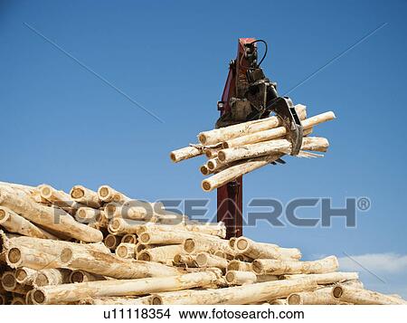 Crane loading timber against blue sky View Large Photo Image Picture - Crane loading timber against blue sky. Fotosearch