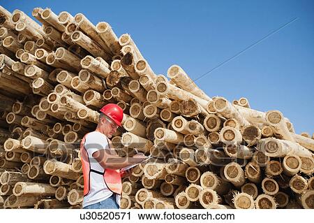 Stock Image - Engineer in front of stack of timber. Fotosearch