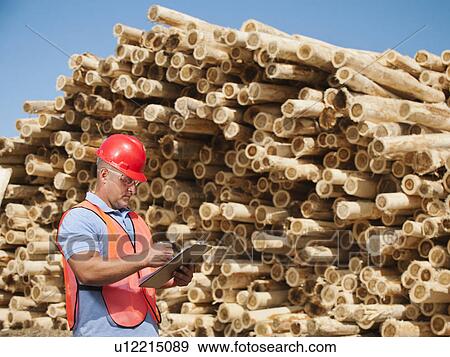 Stock Photo - Engineer in front of stack of timber. Fotosearch