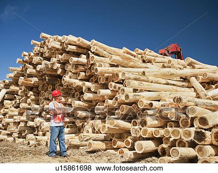 Stock Photo - Engineer in front of stack of timber. Fotosearch