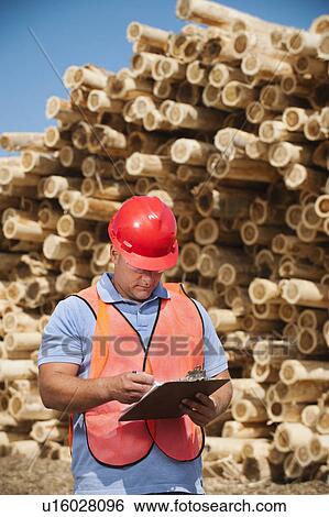 Engineer in front of stack of timber View Large Photo Image Stock Photograph - Engineer in front of stack of timber. Fotosearch