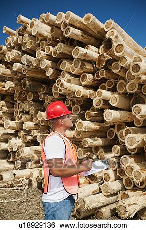 Stock Photograph - Engineer in front of stack of timber. Fotosearch