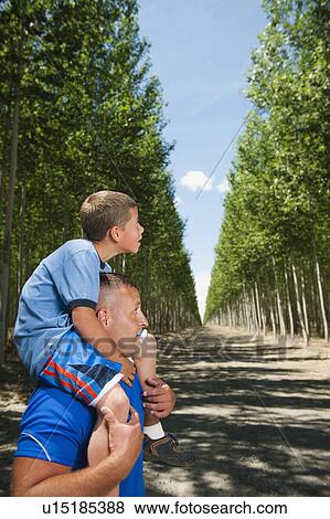 Father showing son (8-9) poplar trees in tree farm View Large Photo Image Stock Photo - Father showing son (8-9) poplar trees in tree farm. Fotosearch