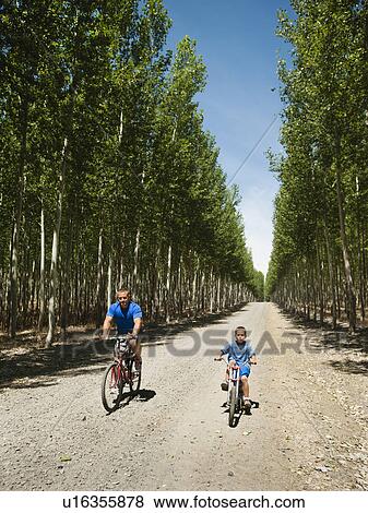 Father with son (8-9) cycling on country road View Large Photo Image Stock Photo - Father with son (8-9) cycling on country road. Fotosearch