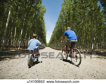 Stock Image - Father with son (8-9) cycling up country road. Fotosearch