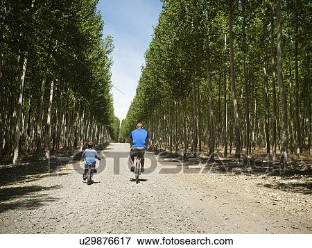 Stock Photo - Father with son (8-9) cycling up country road. Fotosearch