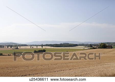 France, Drome, Grignan, Rural landscape View Large Photo Image Stock Image - France, Drome, Grignan, Rural landscape. Fotosearch