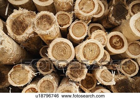 Stock Photograph - Full-frame shot of timber stack. Fotosearch