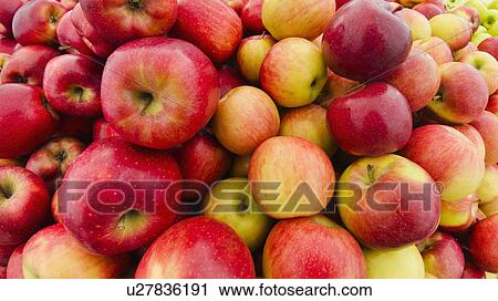 Heap of apples View Large Photo Image Stock Image - Heap of apples. Fotosearch