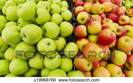 Heap of apples View Large Photo Image Stock Photograph - Heap of apples. Fotosearch