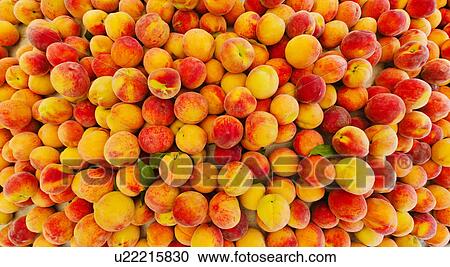 Stock Image - Heap of peaches. Fotosearch