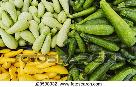 Heap of zucchini and squash View Large Photo Image Stock Image - Heap of zucchini and squash. Fotosearch