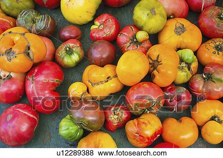 Stock Photo - Heirloom tomatoes. Fotosearch