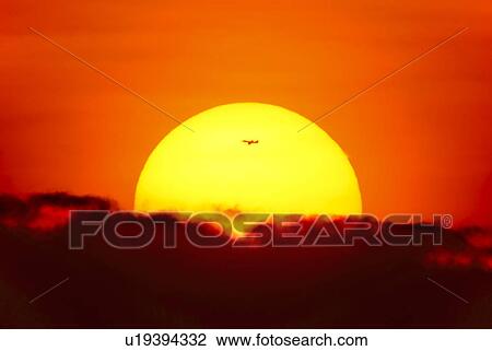 Stock Image - Large sun at sunset. Fotosearch