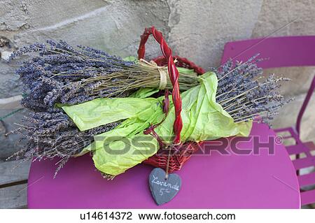 Stock Image - Lavender in bundles on table. Fotosearch