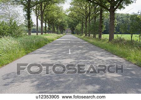 Netherlands, North-Brabant, Tilburg, Road lined with trees View Large Photo Image Stock Photography - Netherlands, North-Brabant, Tilburg, Road lined with trees. Fotosearch
