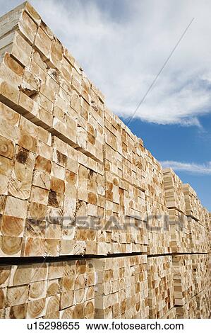 Orderly stack of timber View Large Photo Image Stock Photography - Orderly stack of timber. Fotosearch