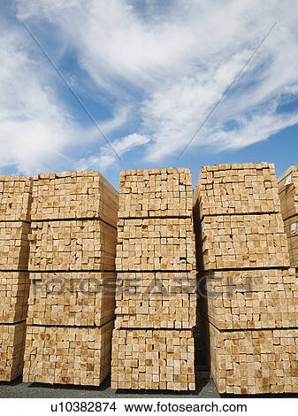 Orderly stacks of timber View Large Photo Image Picture - Orderly stacks of timber. Fotosearch