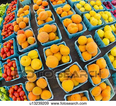Stock Photo - Plums in cartons. Fotosearch