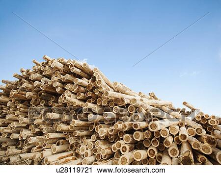 Stack of timber against blue sky View Large Photo Image Stock Image - Stack of timber against blue sky. Fotosearch