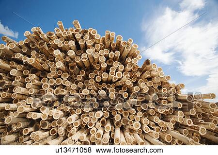 Stock Photo - Stack of timber against blue sky. Fotosearch