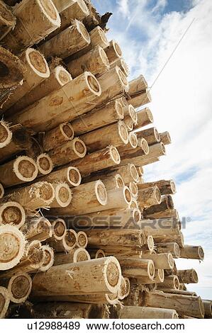 Stack of timber against sky View Large Photo Image Stock Photo - Stack of timber against sky. Fotosearch