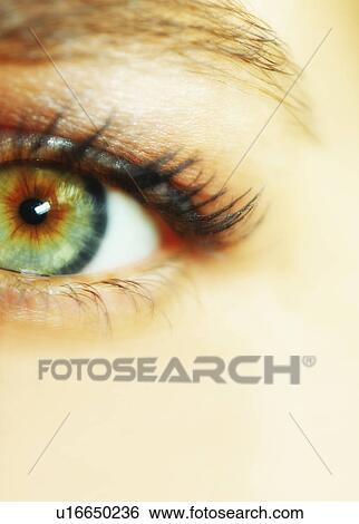 Studio shot of female eye View Large Photo Image Stock Photograph - Studio shot of female eye. Fotosearch