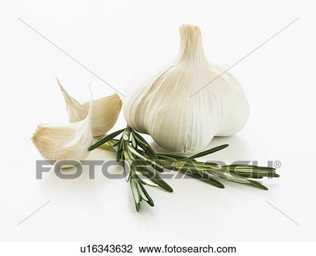 Studio shot of fresh garlic and rosemary View Large Photo Image Stock Image - Studio shot of fresh garlic and rosemary. Fotosearch