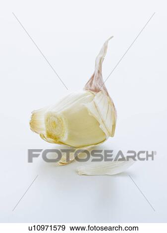 Studio shot of fresh garlic clove View Large Photo Image Stock Photo - Studio shot of fresh garlic clove. Fotosearch