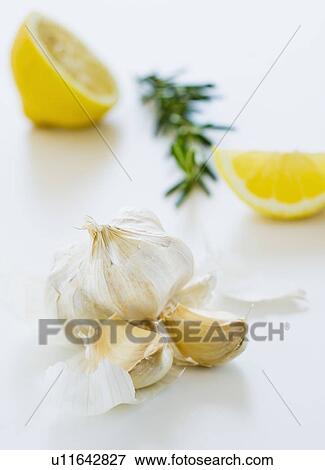 Stock Photo - Studio shot of fresh garlic lemon and rosemary. Fotosearch