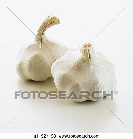 Stock Image - Studio shot of fresh garlic. Fotosearch