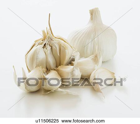 Stock Photography - Studio shot of fresh garlic. Fotosearch