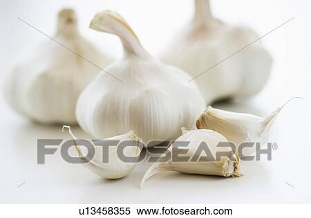 Studio shot of fresh garlic View Large Photo Image Stock Photography - Studio shot of fresh garlic. Fotosearch