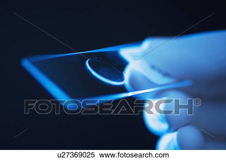Studio shot of hand holding microscope slide View Large Photo Image Stock Photography - Studio shot of hand holding microscope slide. Fotosearch