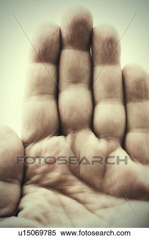 Studio shot of male hand View Large Photo Image Stock Photography - Studio shot of male hand. Fotosearch