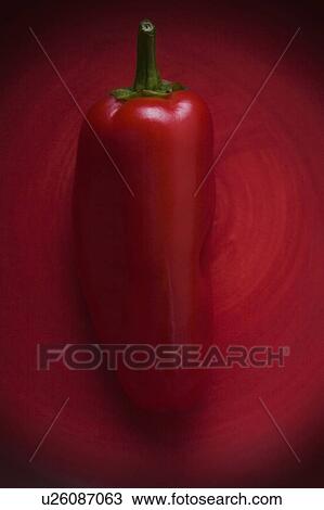 Studio shot of red chili pepper View Large Photo Image Stock Image - Studio shot of red chili pepper. Fotosearch