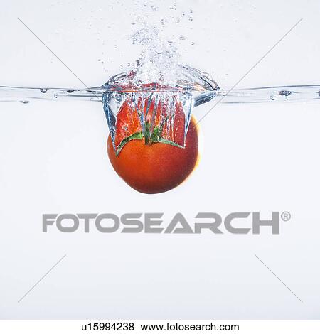 Tomato splashing into water, studio shot View Large Photo Image Stock Photo - Tomato splashing into water, studio shot. Fotosearch