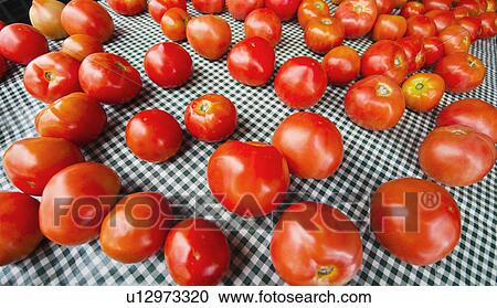 Tomatoes on table View Large Photo Image Stock Image - Tomatoes on table. Fotosearch