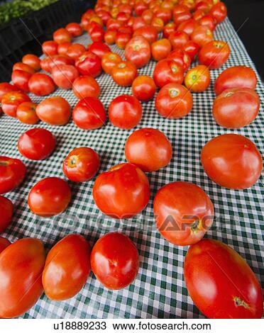 Tomatoes on table View Large Photo Image Stock Image - Tomatoes on table. Fotosearch