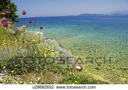 Turkey, Cesme, Izmir, Mediterranean coast View Large Photo Image Stock Image - Turkey, Cesme, Izmir, Mediterranean coast. Fotosearch