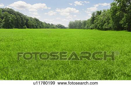 Stock Photo - USA, Connecticut, Kent, green meadow. Fotosearch
